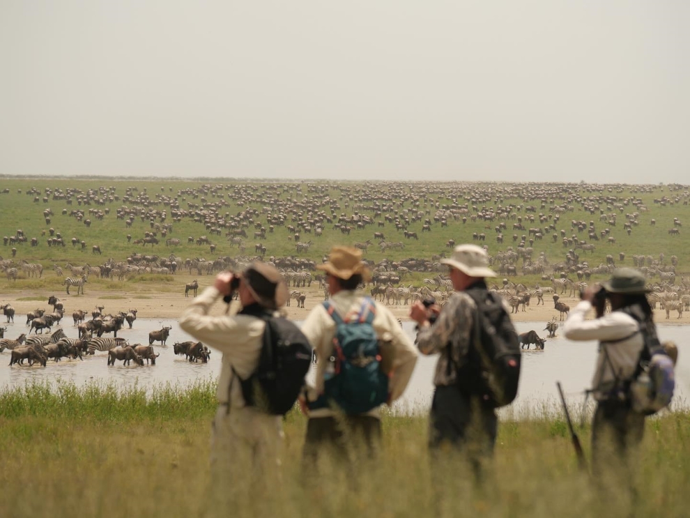 14-Day Northern Tanzania Safari