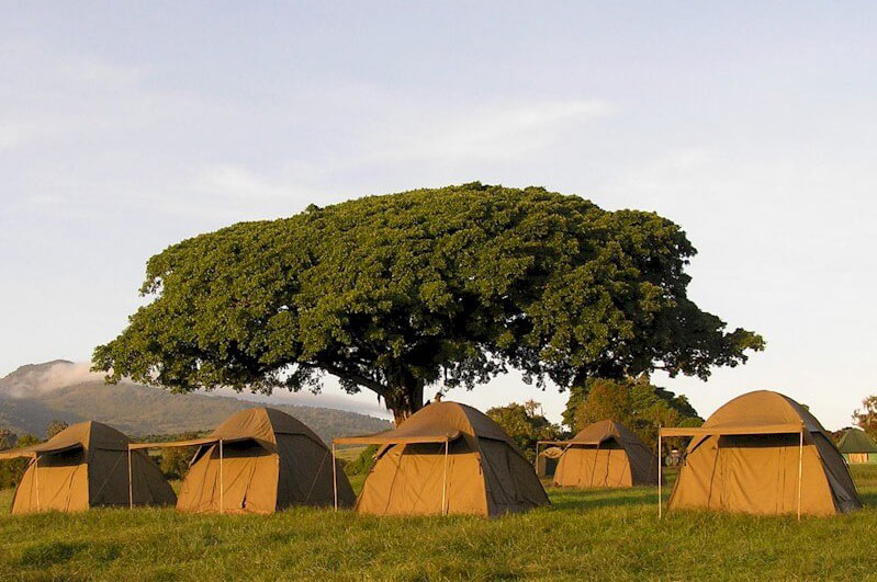 4-Day Camping Safari