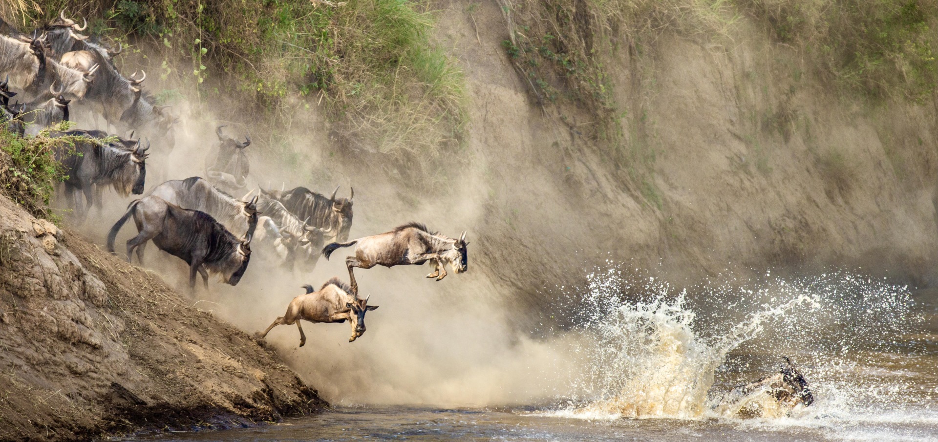 6 Days Serengeti Great Migration Safari